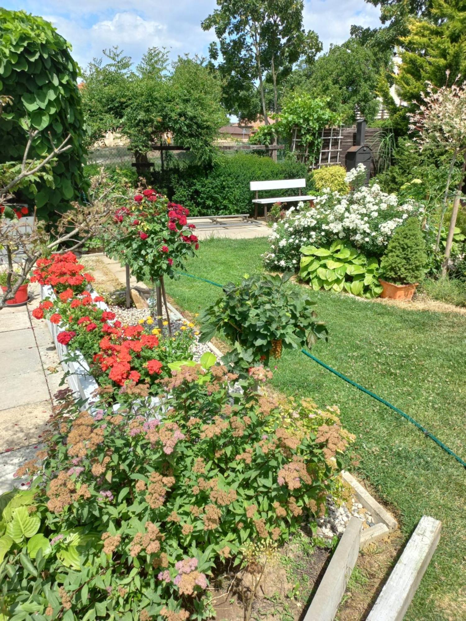Paradise Villa Apartment Prague Ngoại thất bức ảnh